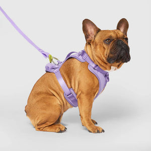 The Everything Harness with Poop Dispenser (Lavender)